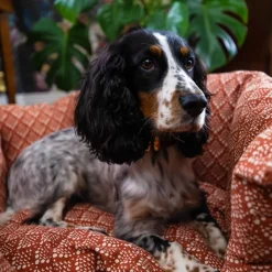Green Elk Cuddle Pet Bed Hot