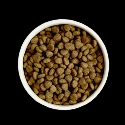 GreenAcres Fish & Rice Adult Dry Dog Food New