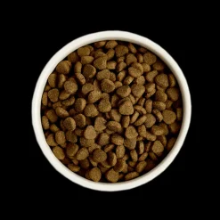 GreenAcres Turkey & Rice Adult Dry Dog Food Best