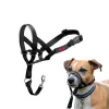 Halti Dog Headcollar Outlet