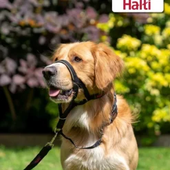 Halti Dog Headcollar Outlet