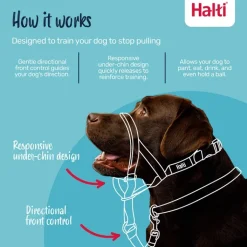 Halti Dog Headcollar Outlet