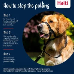 Halti Dog Headcollar Outlet