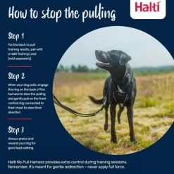 Halti No Pull Dog Harness Hot
