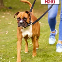 Halti Optifit Dog Headcollar Clearance