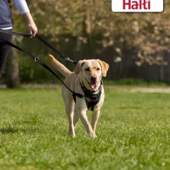 Halti Training Lead Black Large Fashion