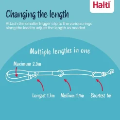 Halti Training Lead Black Large Fashion