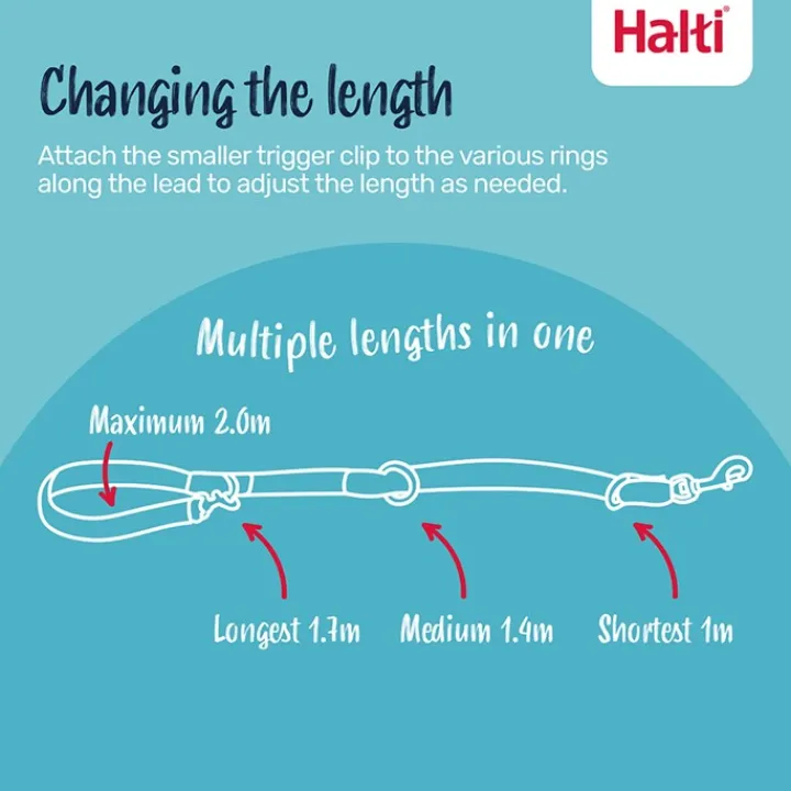 Halti Training Lead Black Large Fashion