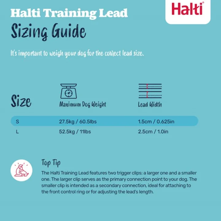 Halti Training Lead Black Large Fashion