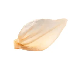 Hollings Cow Ears 3 Pack New