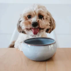 Hunter Braga Dog Bowl Blue Online