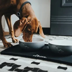 Hunter Lund Dog Bowl Grey Fashion