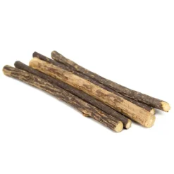 King Catnip Dental Sticks Chew Outlet