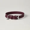 Lily & Leo Leather Flat Dog Collar Oxblood Outlet