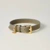 Lily & Leo Leather Flat Dog Collar Sage Hot