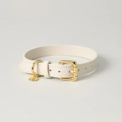 Lily & Leo Leather Flat Dog Collar Cream New