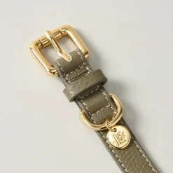 Lily & Leo Leather Flat Dog Collar Sage Hot