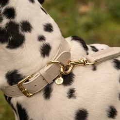 Lily & Leo Leather Flat Dog Lead Cream Hot