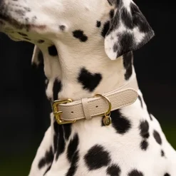 Lily & Leo Leather Flat Dog Collar Cream New