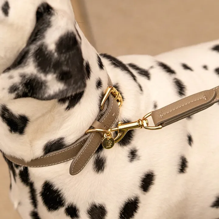 Lily & Leo Leather Flat Dog Collar Sage Hot