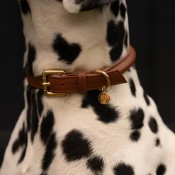 Lily & Leo Leather Rolled Dog Collar Tan Best