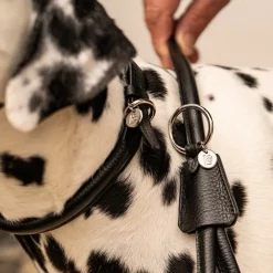 Lily & Leo Leather Rolled Dog Lead Black Discount