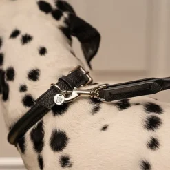 Lily & Leo Leather Rolled Dog Collar Black Discount