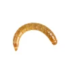 Peregrine Live Regular Mealworm Pack Reptile Food Fashion