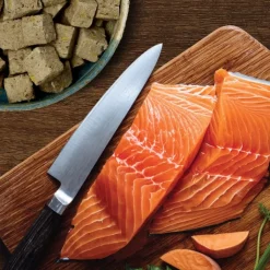 McAdams Salmon & Sole Freeze Dried Dog Food Outlet