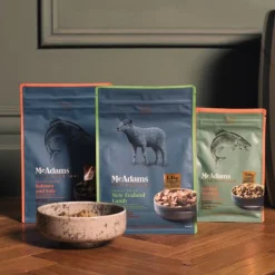 McAdams Salmon & Sole Freeze Dried Dog Food Outlet