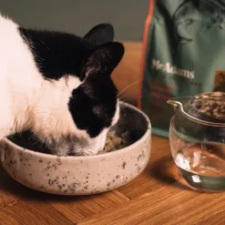 McAdams Salmon & Sole Freeze Dried Cat Food Sale