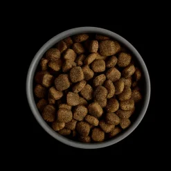 MORE Condition Lamb All Breed Dog Dry Food Hot