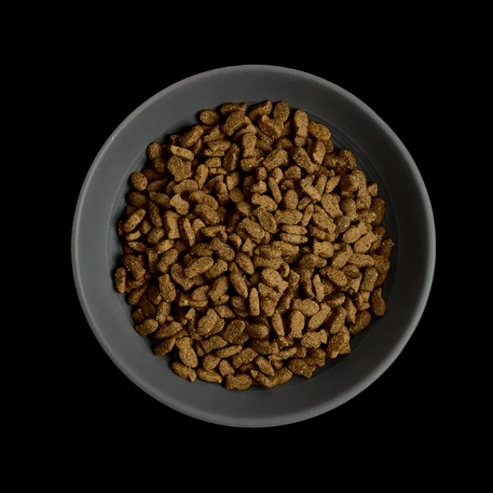 MORE Condition Salmon Adult Cat Dry Food New