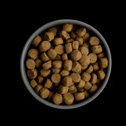 MORE Digestion Chicken All Breed Dog Dry Food Online