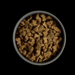 MORE First Steps Chicken Large Breed Puppy Dry Food Hot