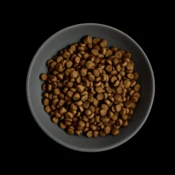 MORE Hairball Chicken Adult Cat Dry Food Hot