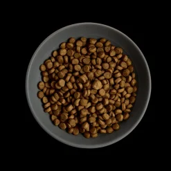 MORE Lighter Chicken Adult Cat Dry Food New