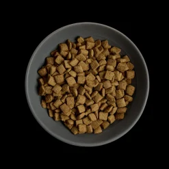 MORE Senior Chicken Cat Dry Food Outlet