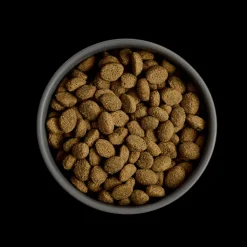 MORE Senior Chicken Large Breed Dog Dry Food Best