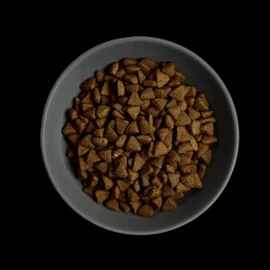 MORE Support Chicken Adult Cat Dry Food Outlet