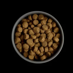 MORE Support Chicken All Breed Dog Dry Food Best