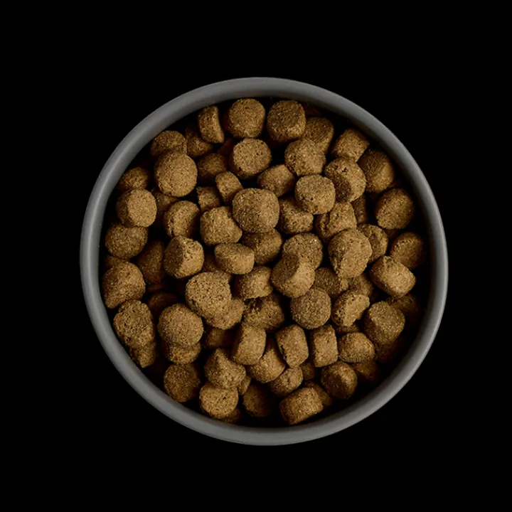 MORE Support Chicken All Breed Dog Dry Food Best