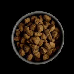 MORE Support Chicken Large Breed Dog Dry Food New