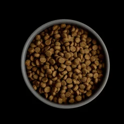 MORE Support Chicken Small Breed Dog Dry Food Fashion