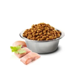 Natural & Delicious Adult Cat Food Ocean Herring & Orange Sale