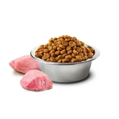 Natural & Delicious Adult Cat Food Prime Chicken & Pomegranate Clearance