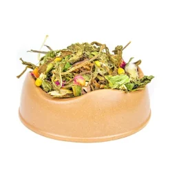 Norah's Chamomile Small Animal Salad Fashion
