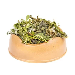 Norah's Dandelion Small Animal Salad Online