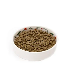 Norah's Small Animal Ceramic Food Bowl New