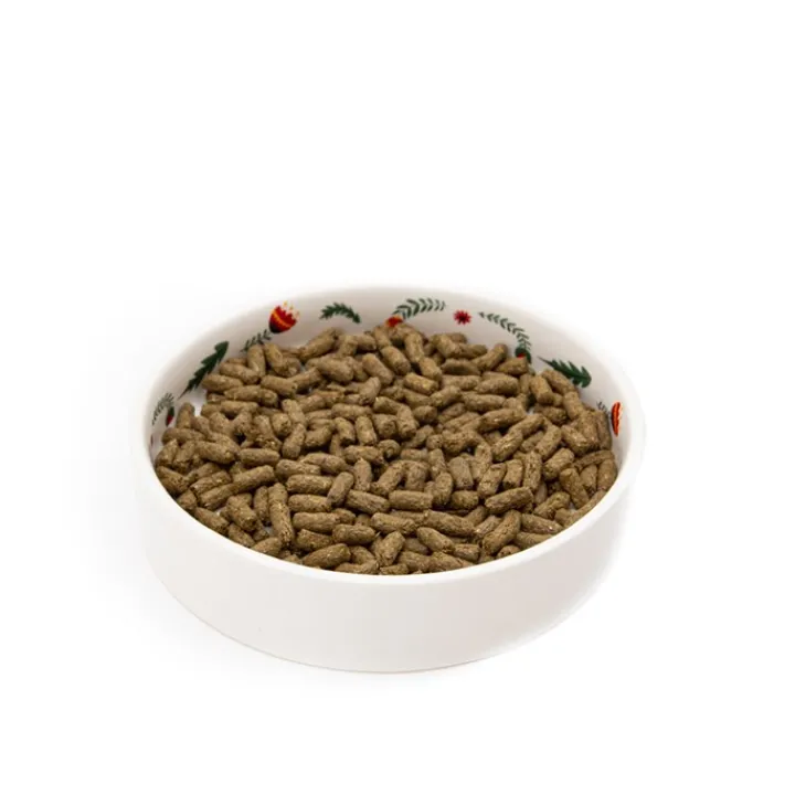 Norah's Small Animal Ceramic Food Bowl New
